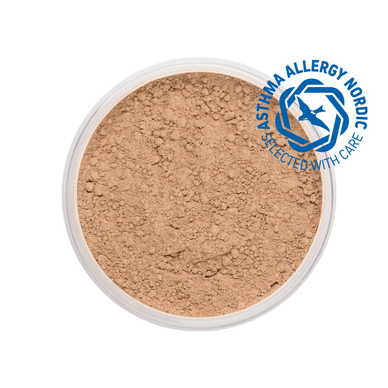 MINERAL POWDER FOUNDATION