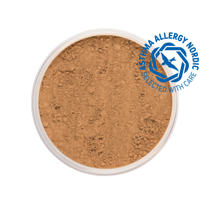 MINERAL POWDER FOUNDATION