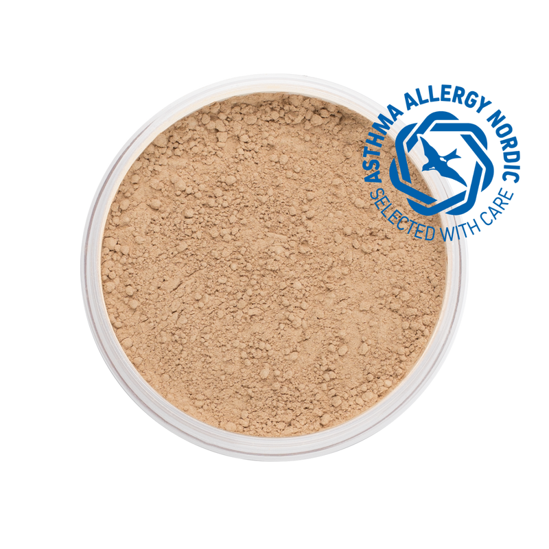 MINERAL POWDER FOUNDATION