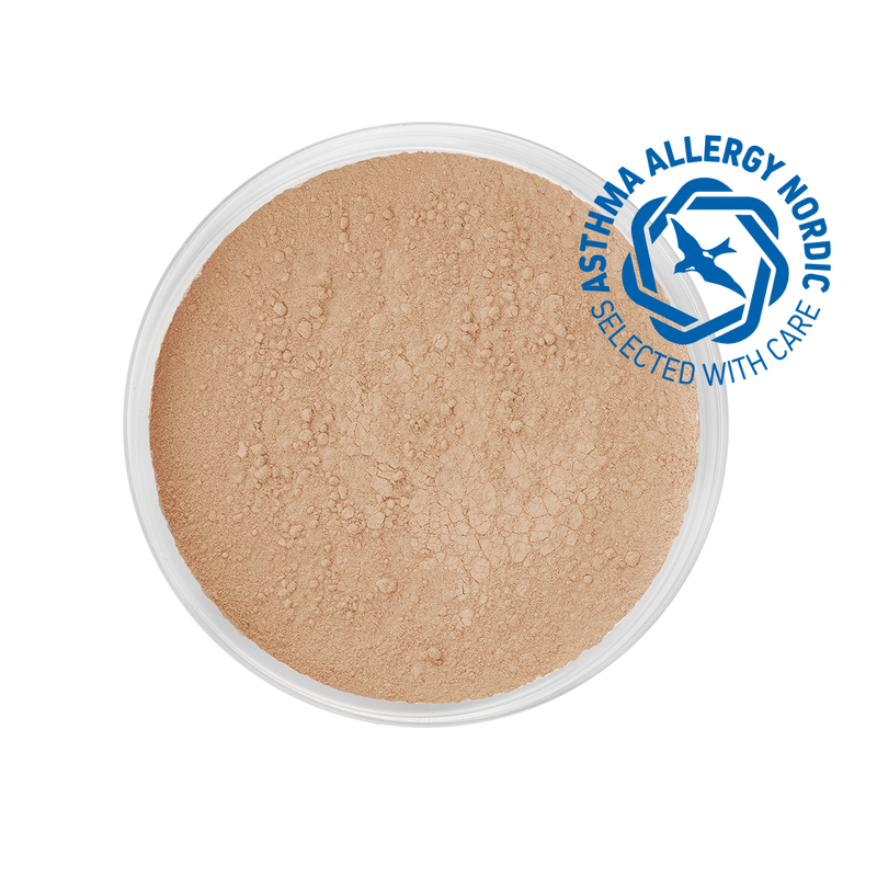 MINERAL POWDER FOUNDATION