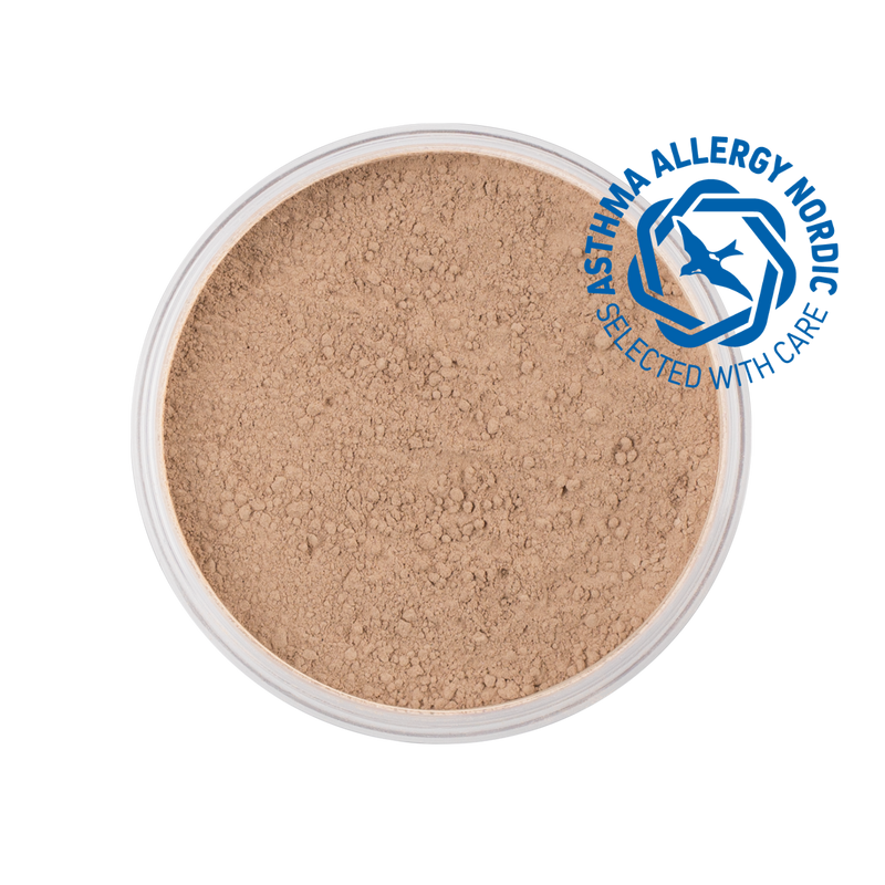 MINERAL POWDER FOUNDATION