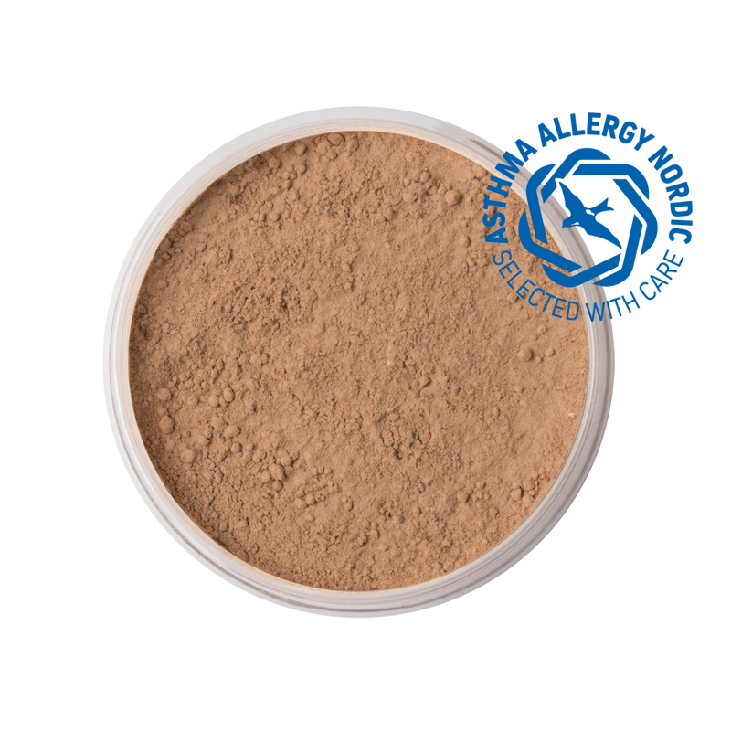 MINERAL POWDER FOUNDATION
