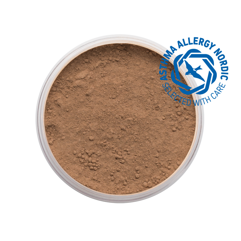 MINERAL POWDER FOUNDATION